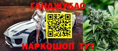 МДПВ Дубна
