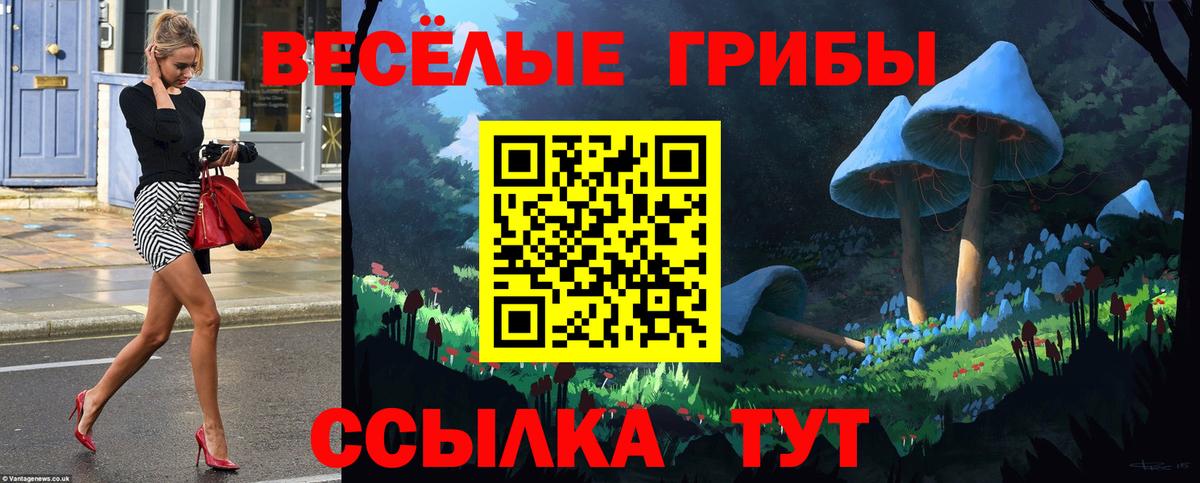 Галлюциногенные грибы GOLDEN TEACHER  Вход с VPN  Заводоуковск  Галлюциногенные грибы MAGIC MUSHROOMS 