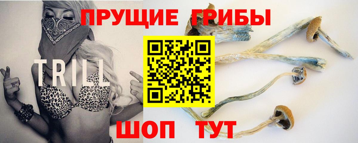 Галлюциногенные грибы ЛСД Заводоуковск